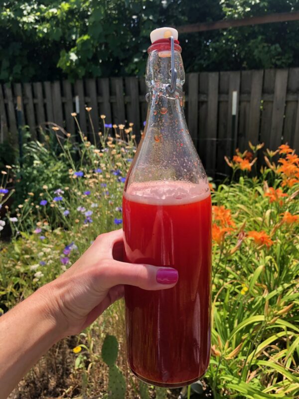 fresh strawberry shrub in a bottle outside