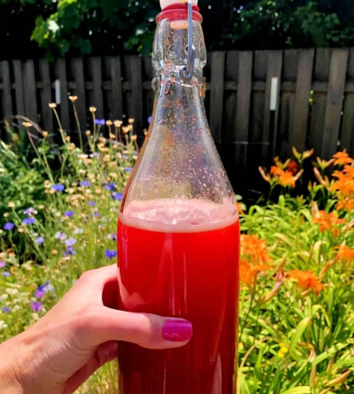 strawberry shrub in a flip top bottle.