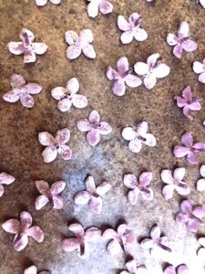 candied lilac flowers