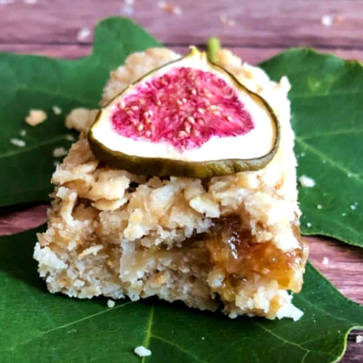 close-up-of-coconut-fig-square