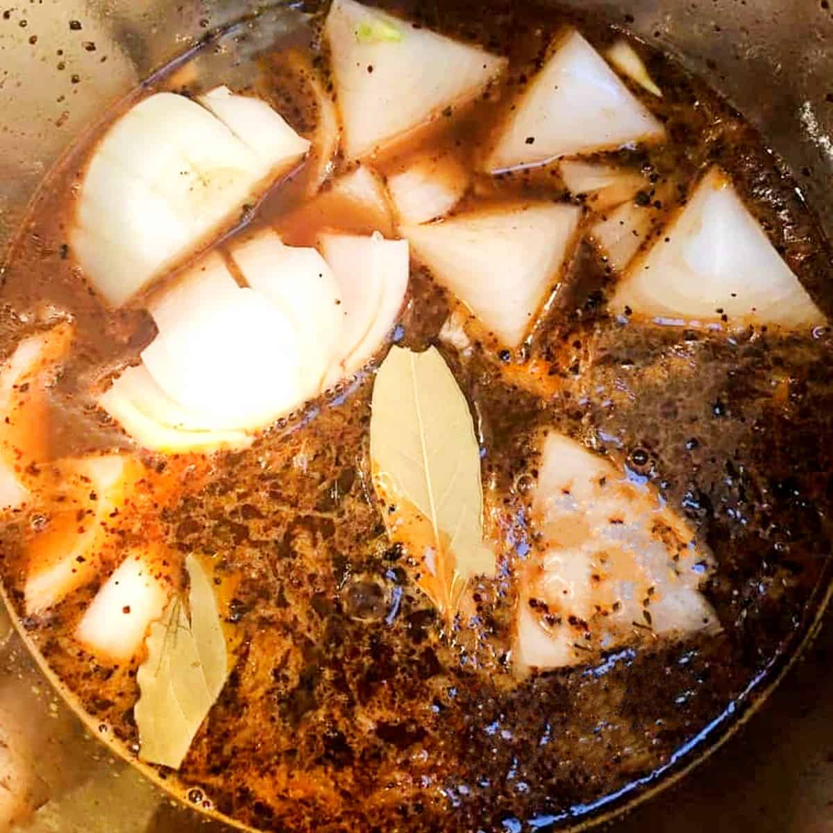instant-pot-carnitas-before-cooking