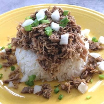 kalua pork on rice with green onion and white onion