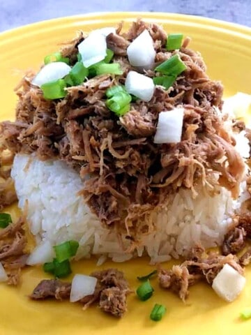 kalua pork on rice with onions