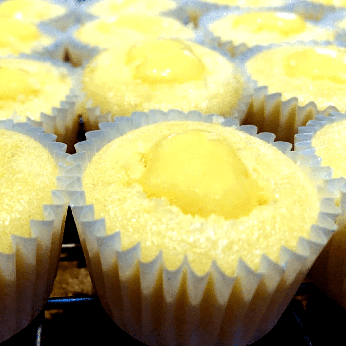 lemon-curd-filled-mini-cupcakes