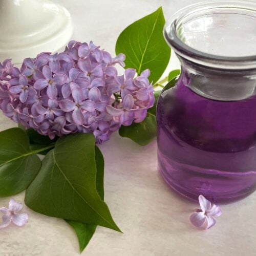 lilac syrup with lilac flowers