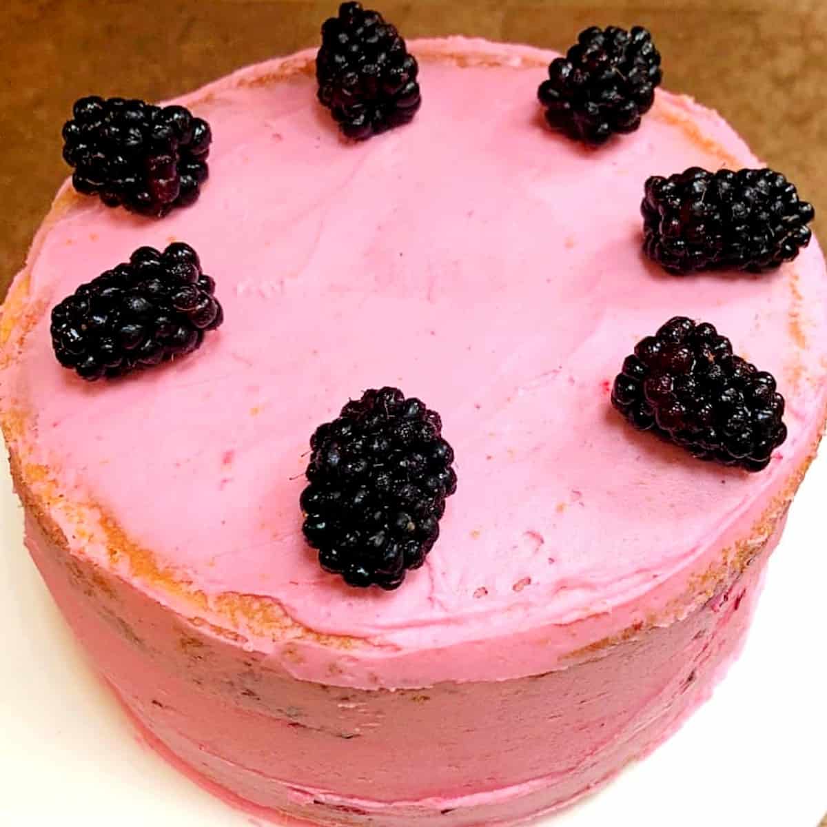 Blackberry Lime Cake | The Cake Blog