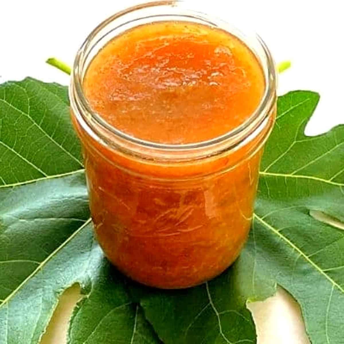 Apricot-Fig Preserves - Delicious Living