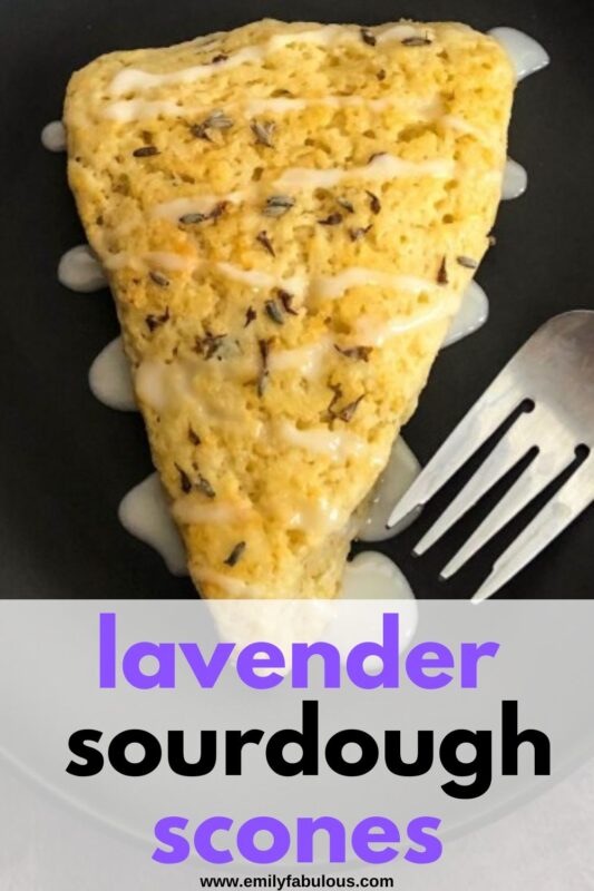 lavender sourdough scone with dried lavender buds and lemon glaze