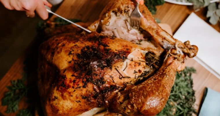 Easy Turkey Leftover Recipes