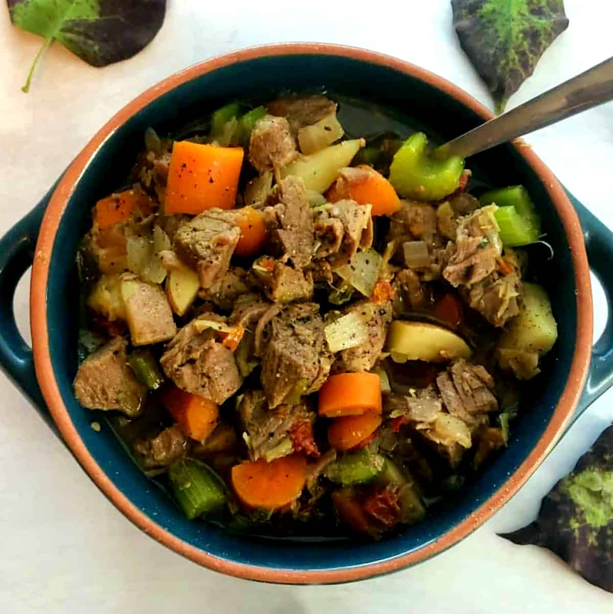 beef stew made in the instant pot.