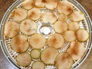 sliced asian pears with cinnamon and sugar in dehydrator