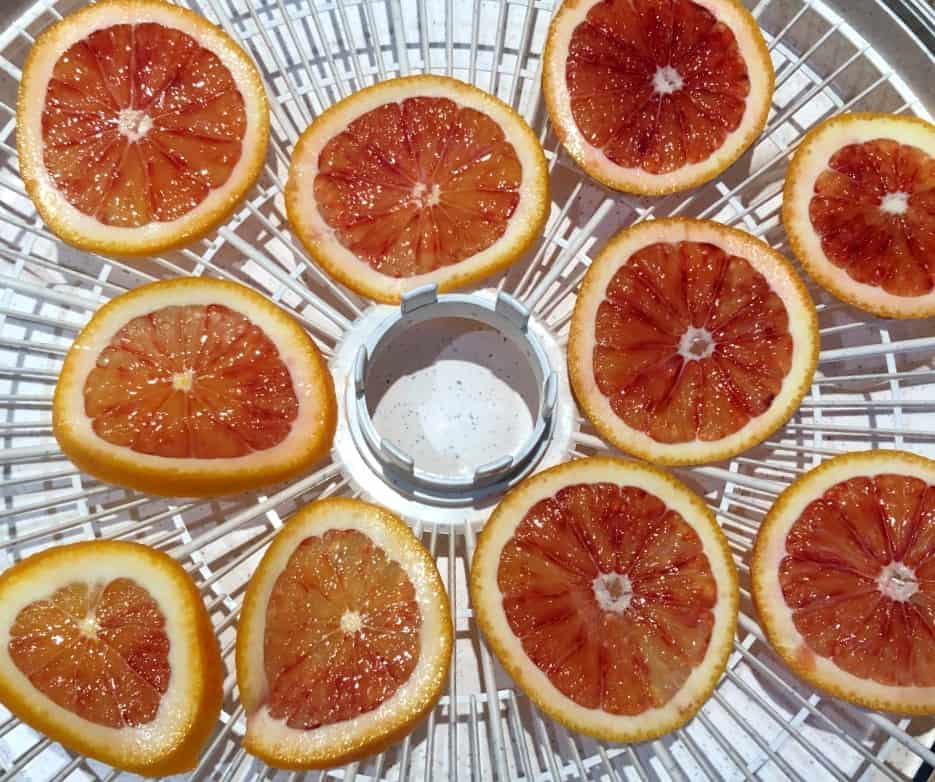 orange slices on a dehydrator.