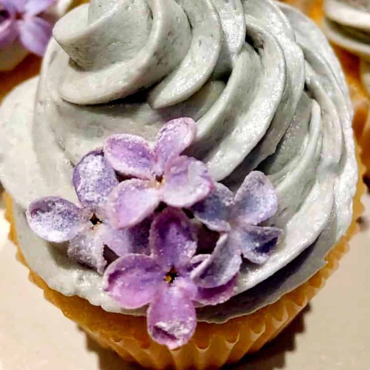 candied lilac flowers on a cupcake