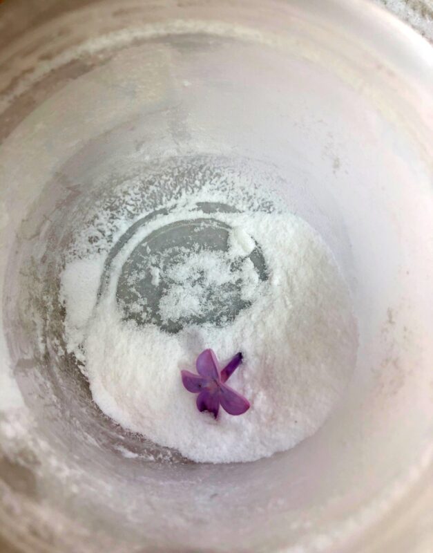 lilac flower with egg white in powdered sugar
