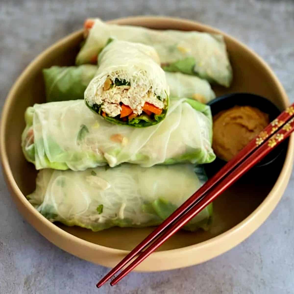 spring-rolls-on-a-plate-with-peanut-sauce