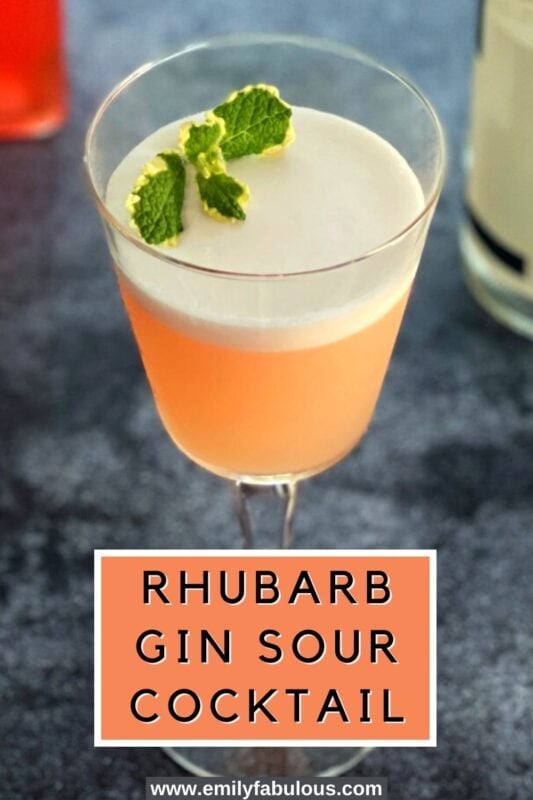 a rhubarb gin sour cocktail in a coupe glass with a fresh mint sprig as garnish