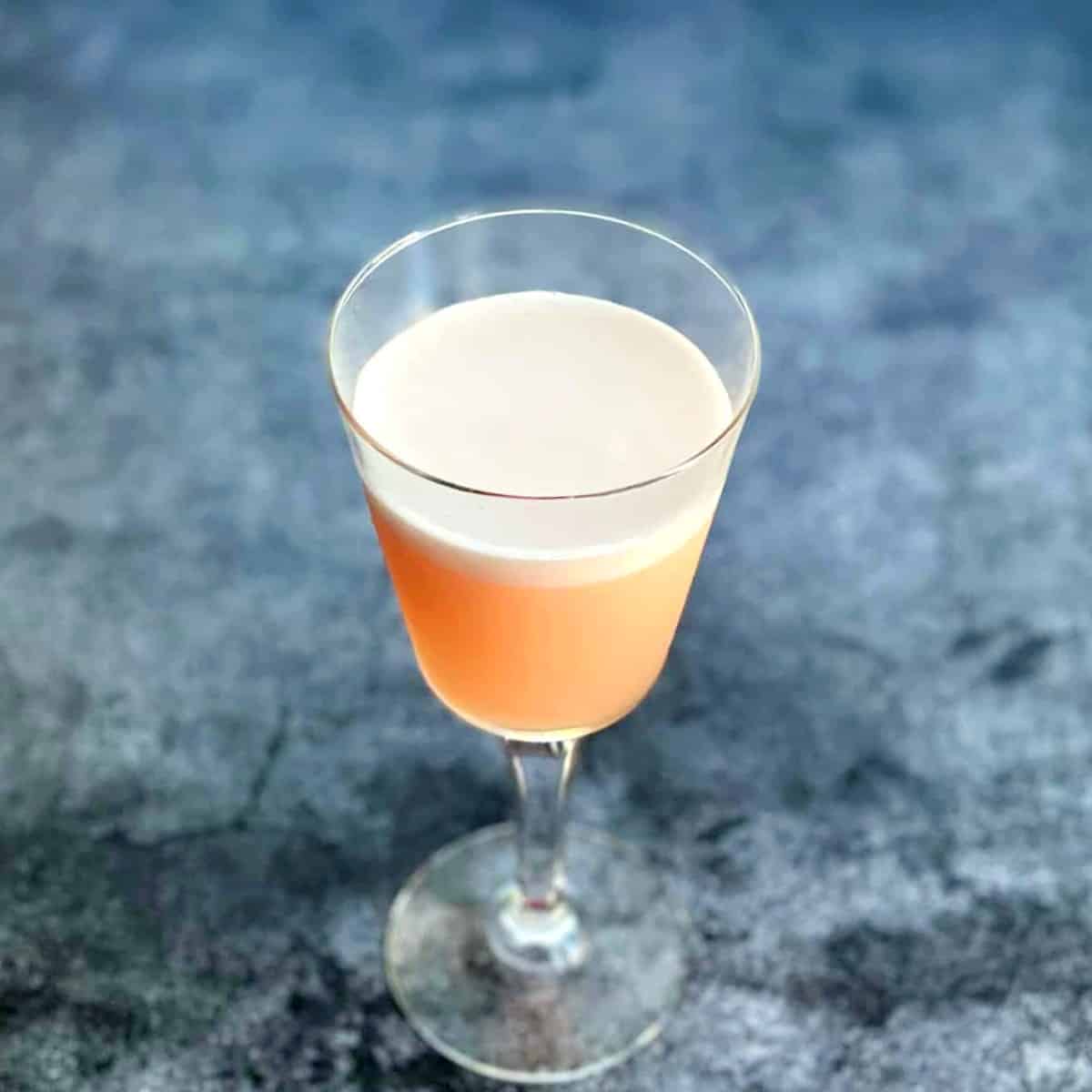rhubarb gin fizz cocktail