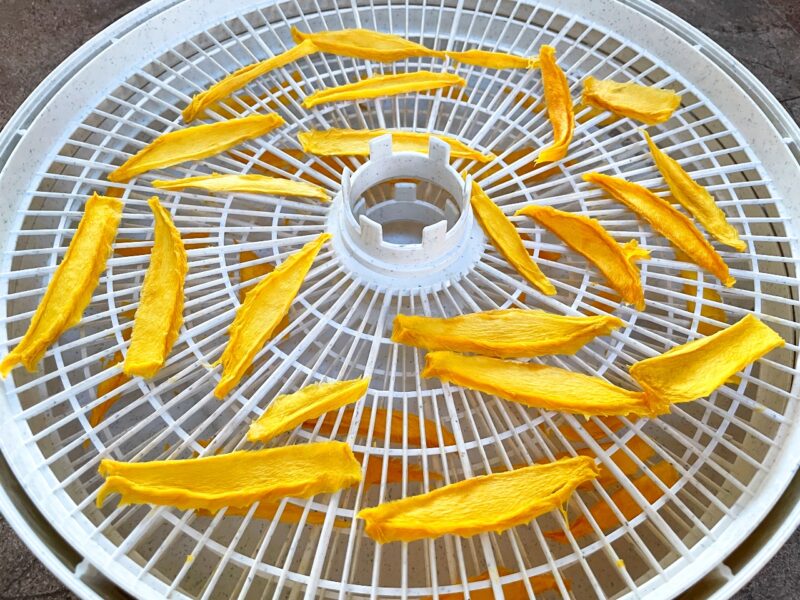 dried mango in a dehydrator
