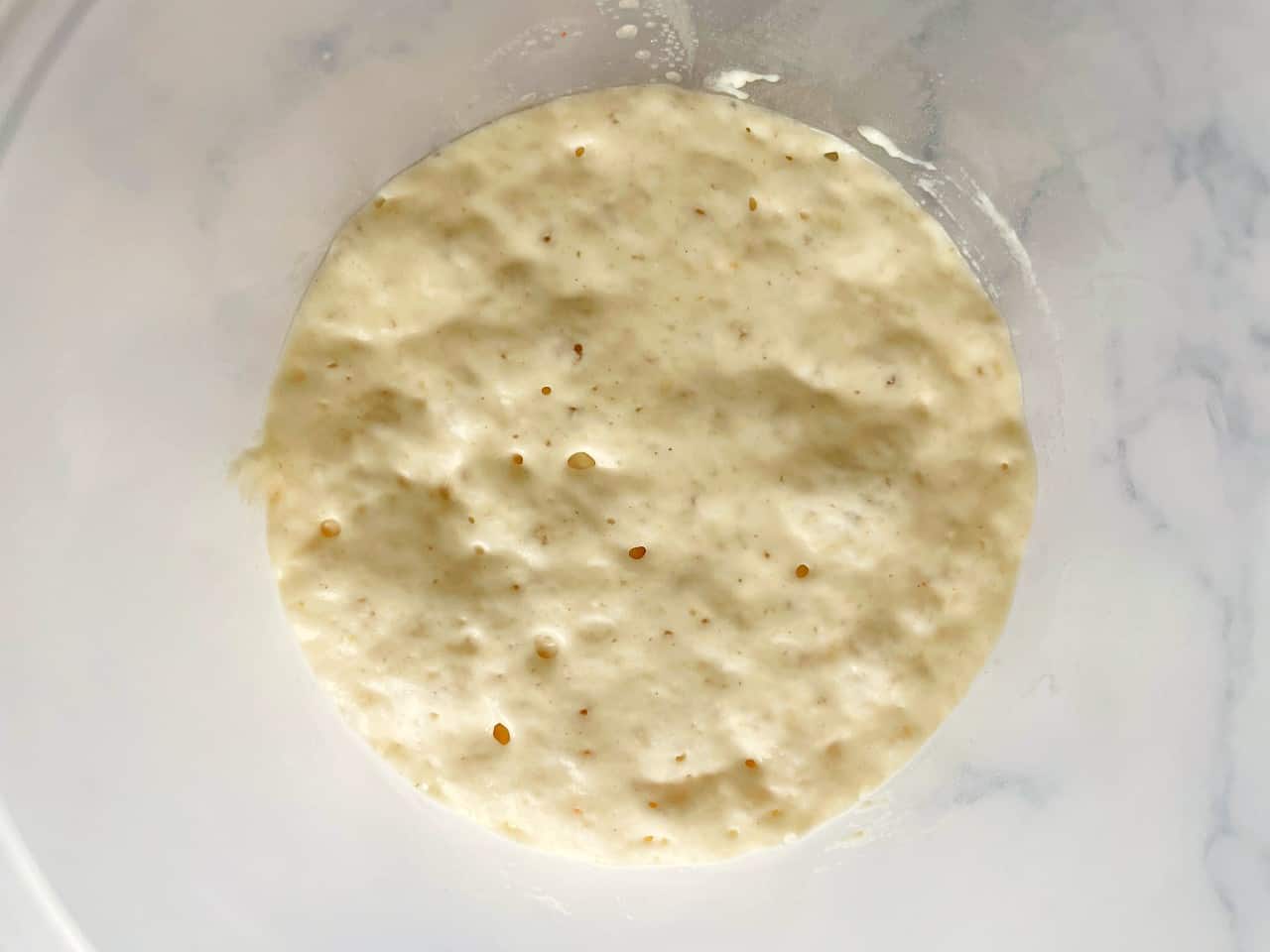poolish for pizza dough after 1 hour.
