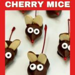 chocolate covered cherry mice recipe