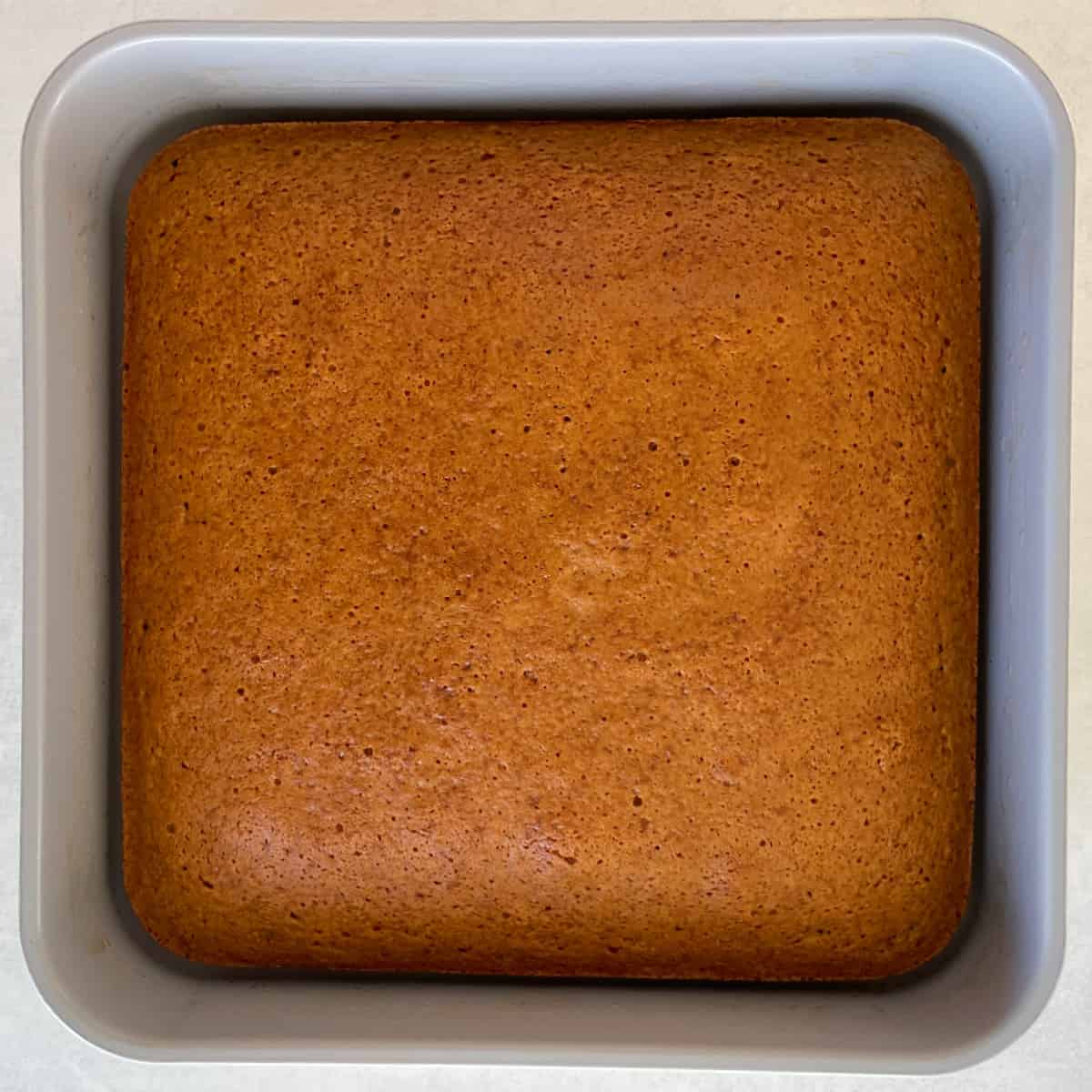 baked gingerbread cake in a pan.