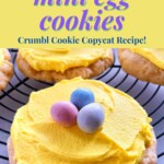 Mini Egg Cookie Recipe