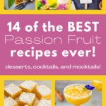 Passion Fruit Recipes Round Up