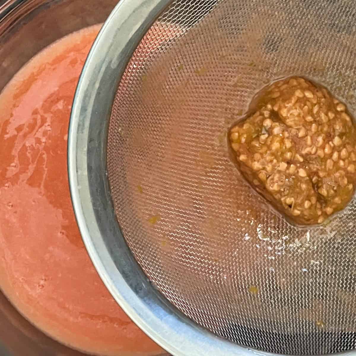 guava seeds strained from puree.