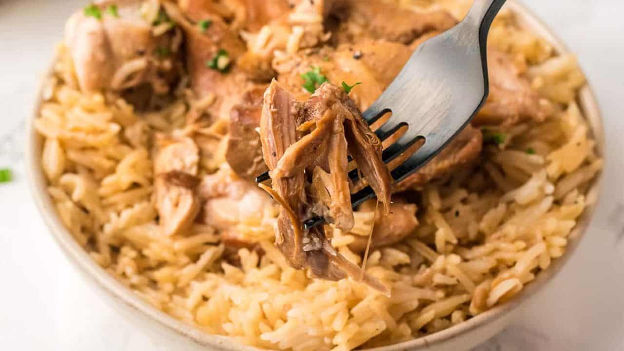 a close up look of chicken adobo and fork