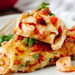 Creamy Shrimp Enchiladas