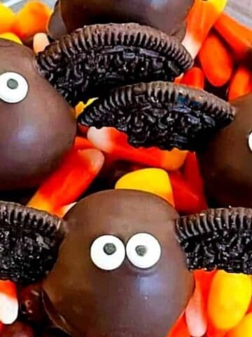 Halloween Bat Cake Pops