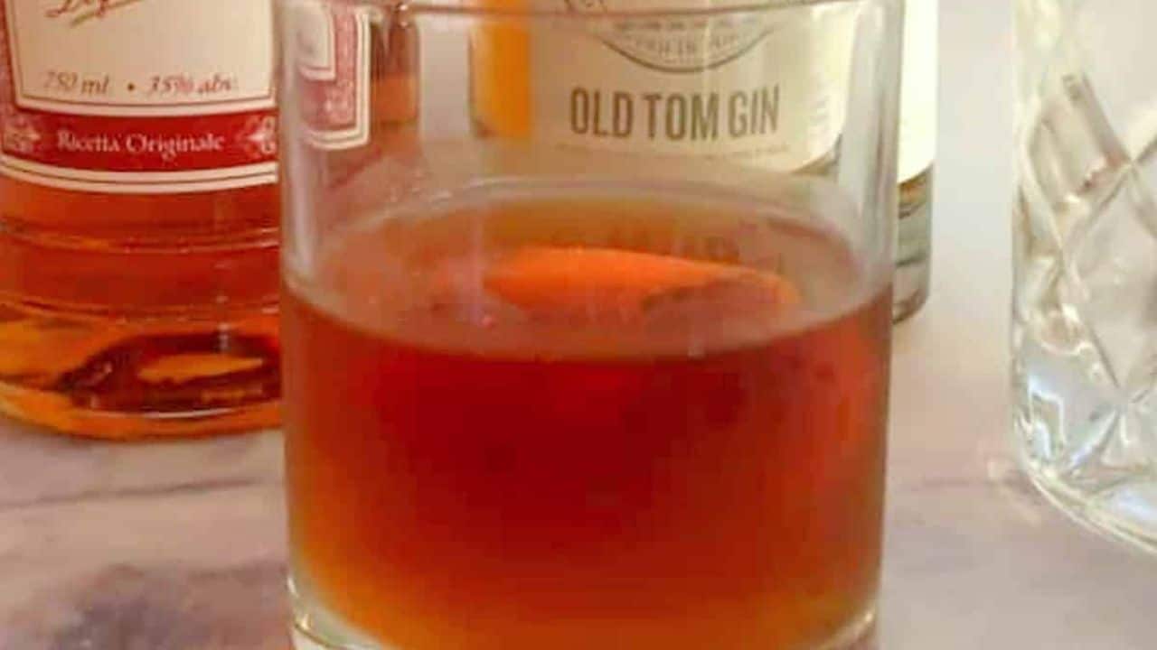 Modern Negroni Cocktail Recipe