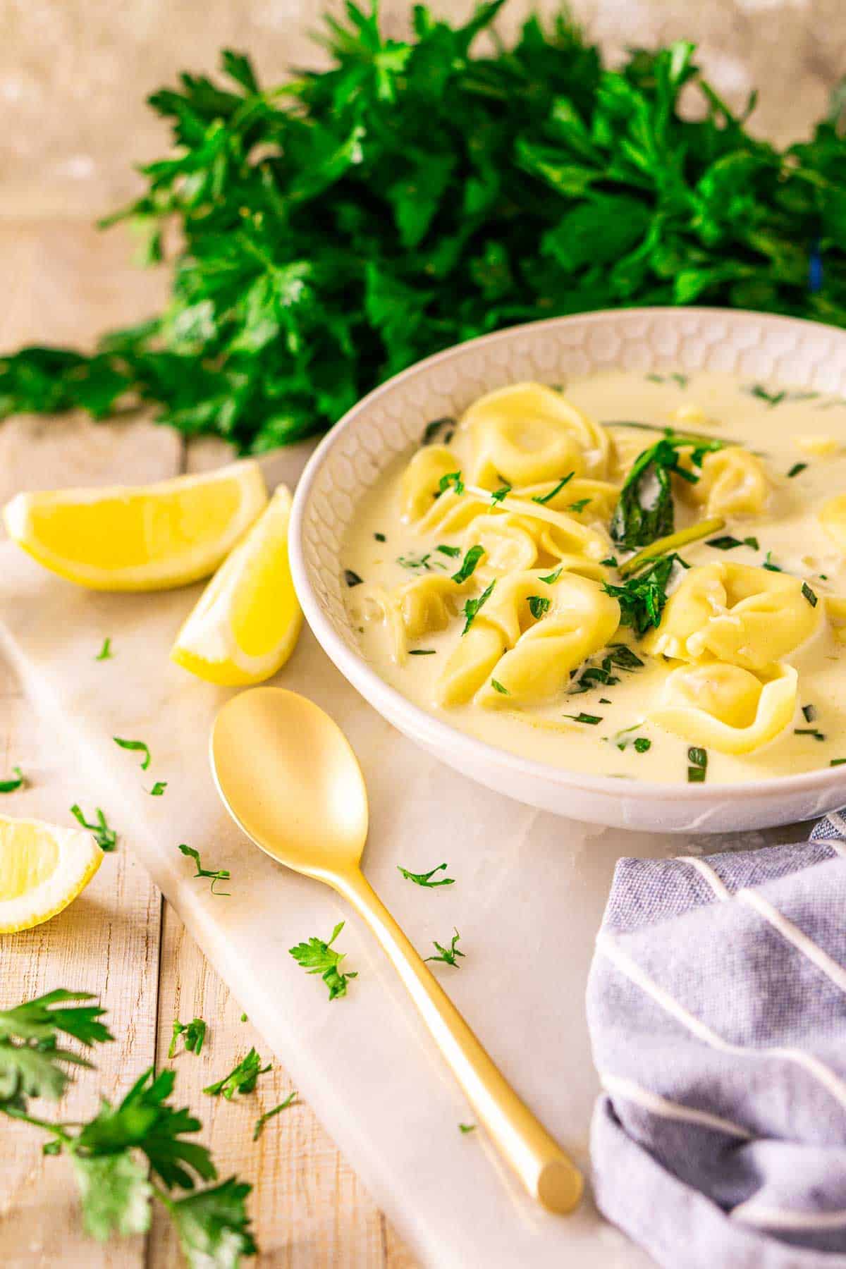 instant-pot-tortellini-soup