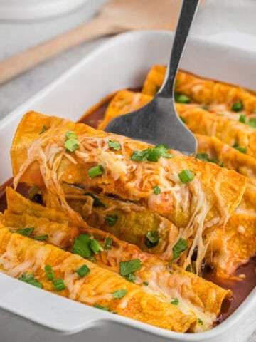 Bean and Cheese Enchiladas