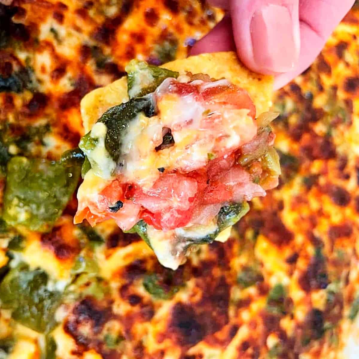 Chile Relleno Cheese Dip