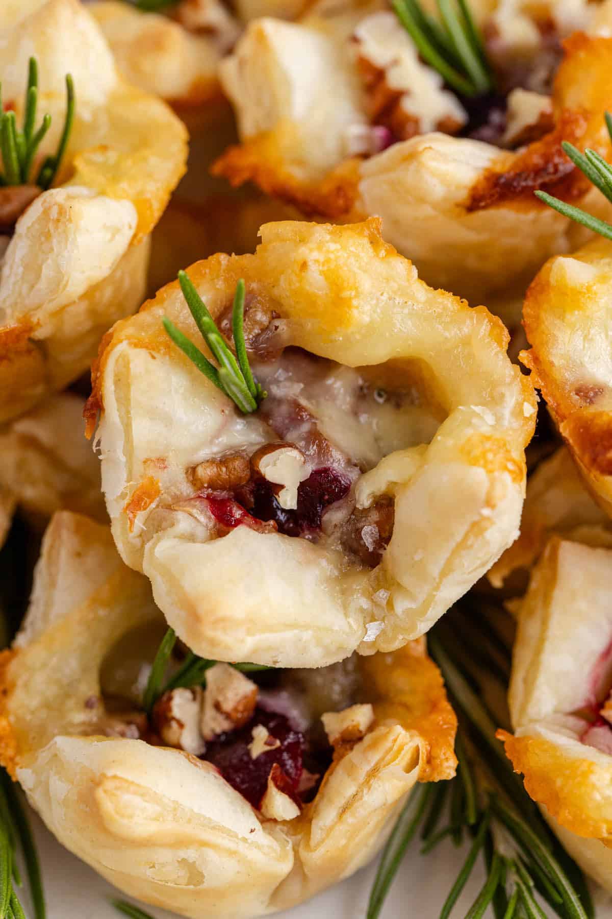 Cranberry Brie Bites