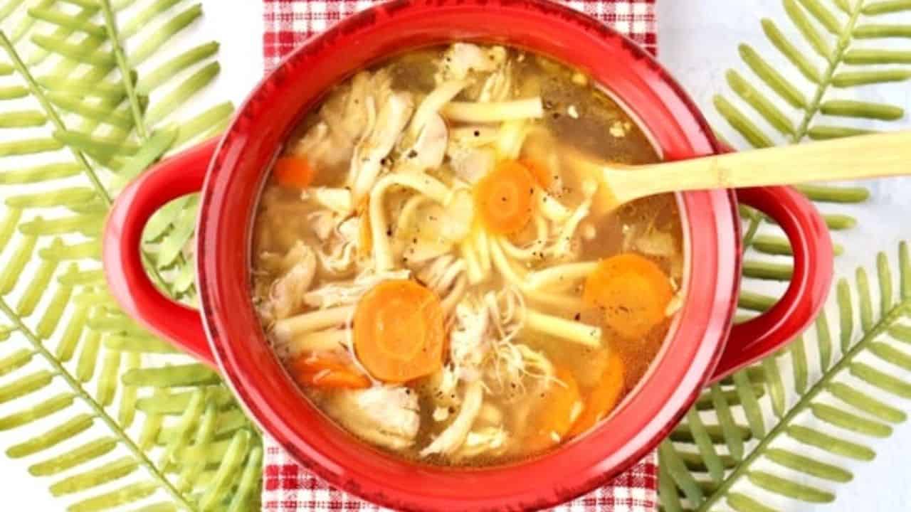 Instant Pot Chicken Noodle Soup