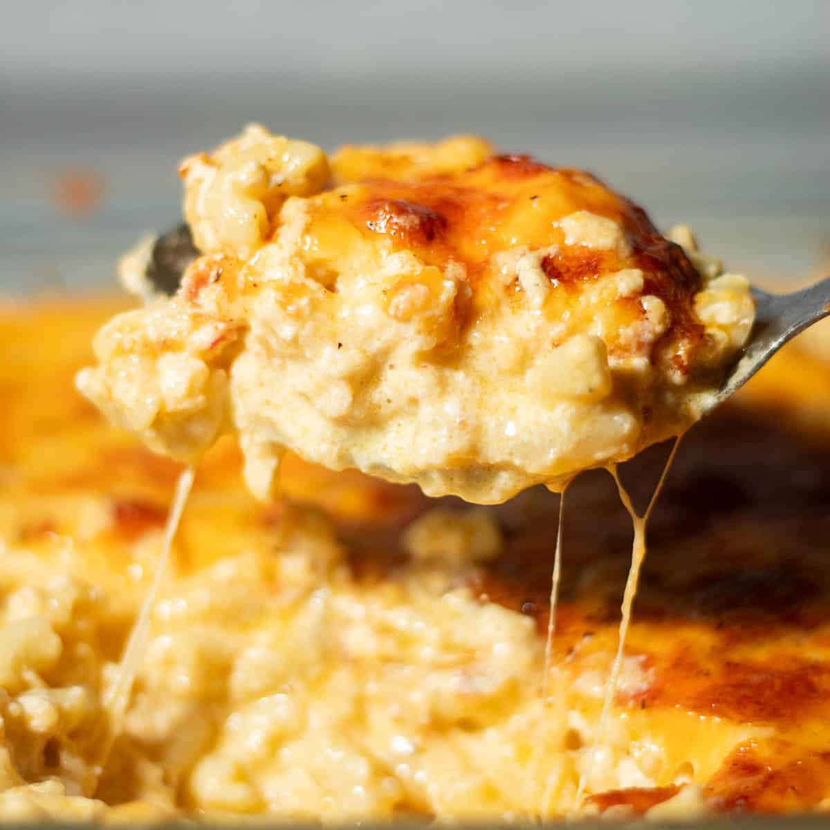 Best Southern Baked Mac and Cheese