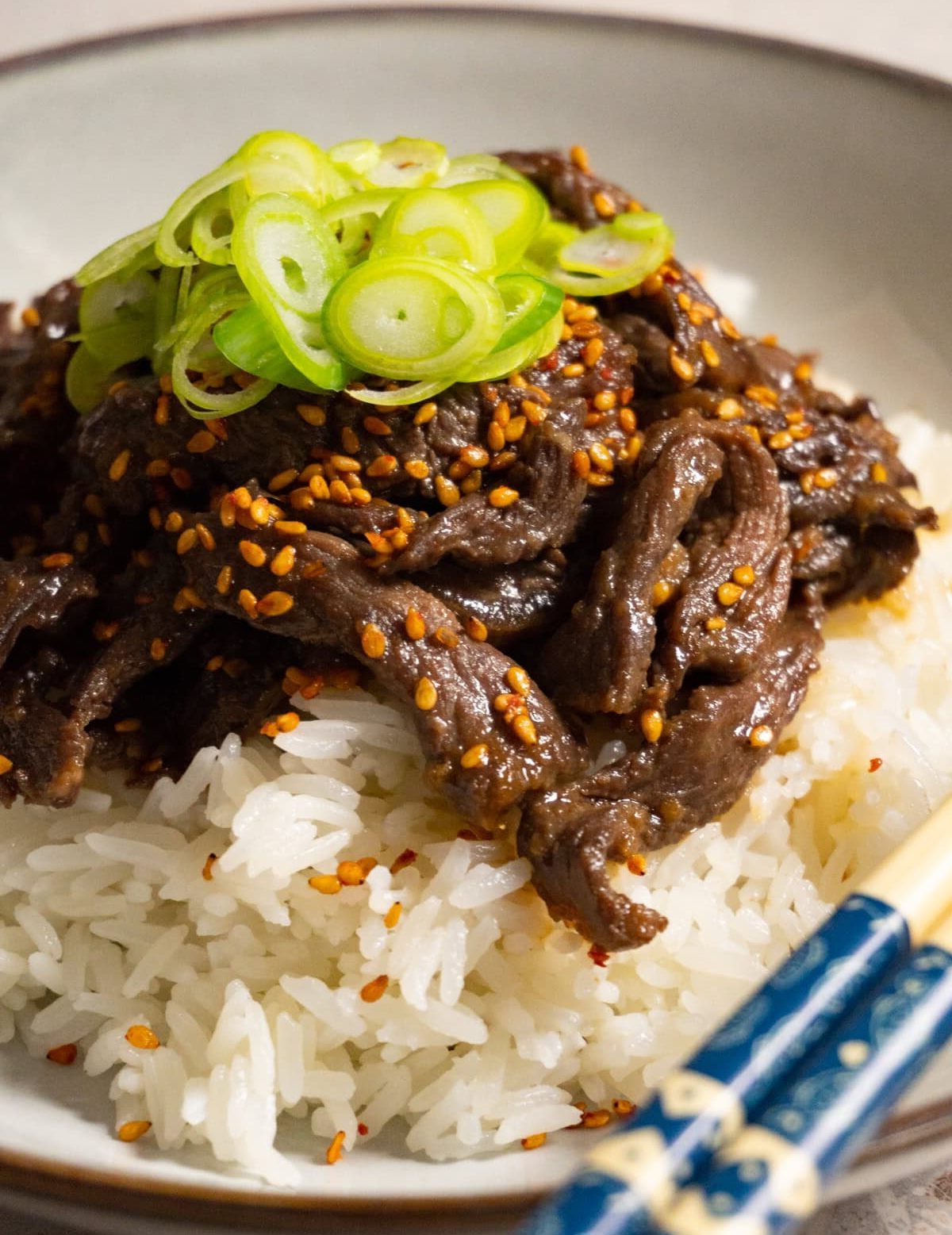 Beef and Rice Bowl