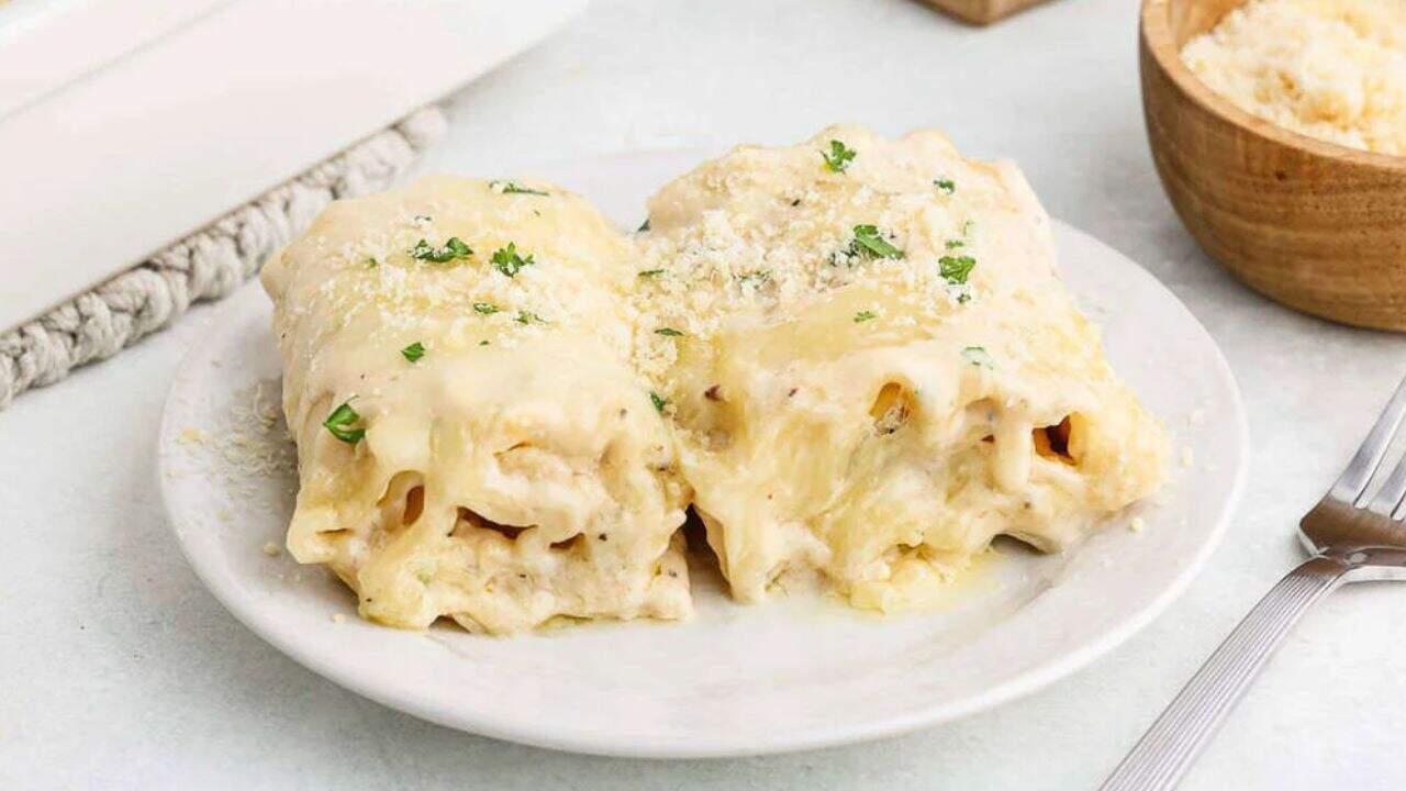 Chicken Alfredo Lasagna Rolls
