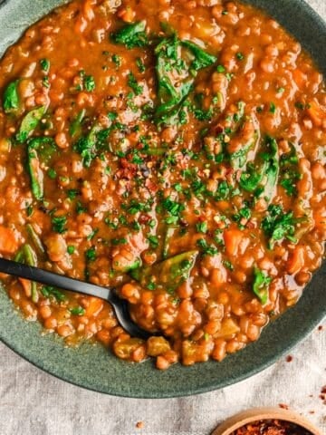 Instant Pot Lentil Soup