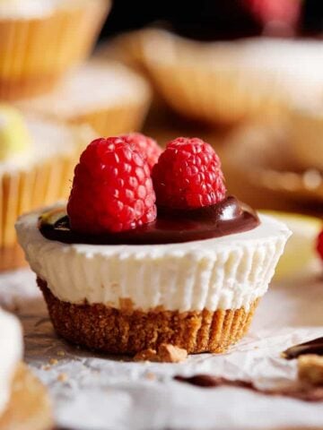 Mini No Bake Cheesecakes