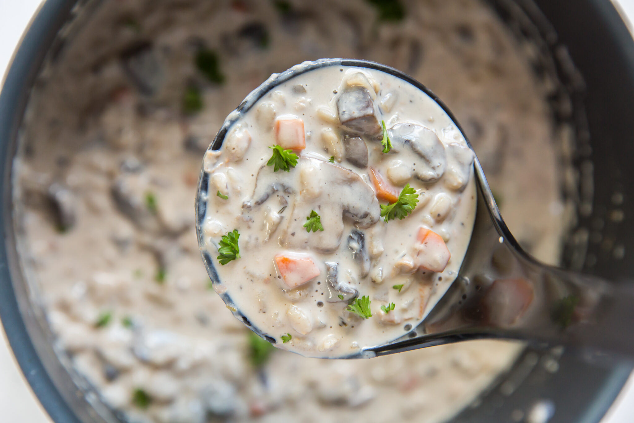 Mushroom Barley Soup