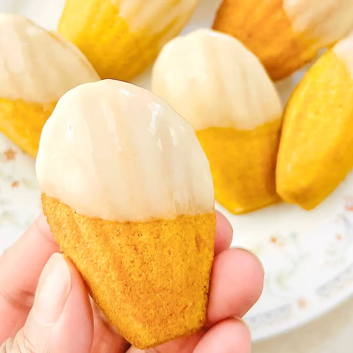 Sweet Potato Madeleines