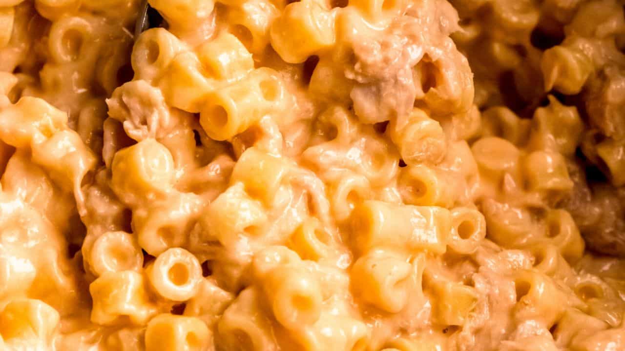 Tuna Mac and Cheese