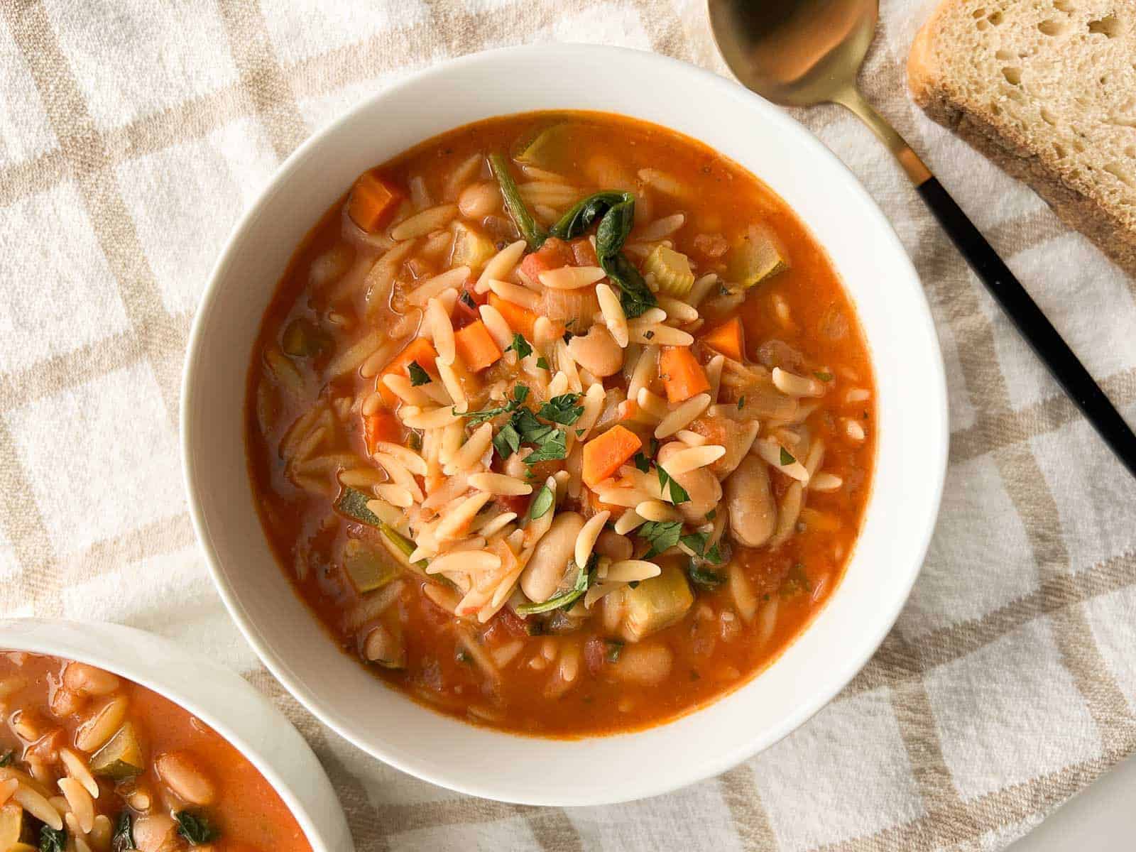 Vegetable Orzo Soup