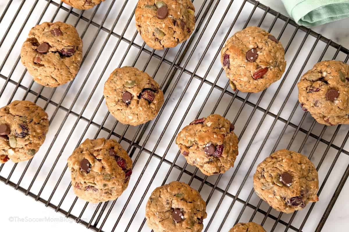 Breakfast Cookies