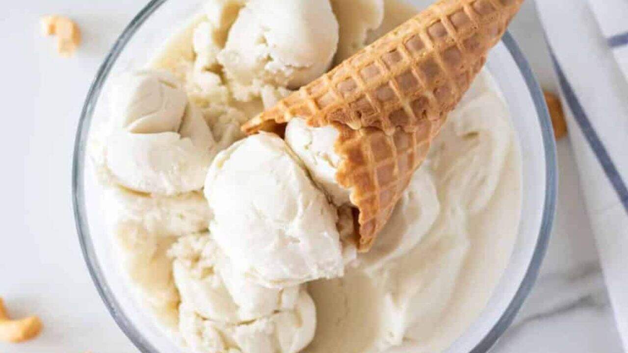 Coconut Cashew Vanilla Ice Cream