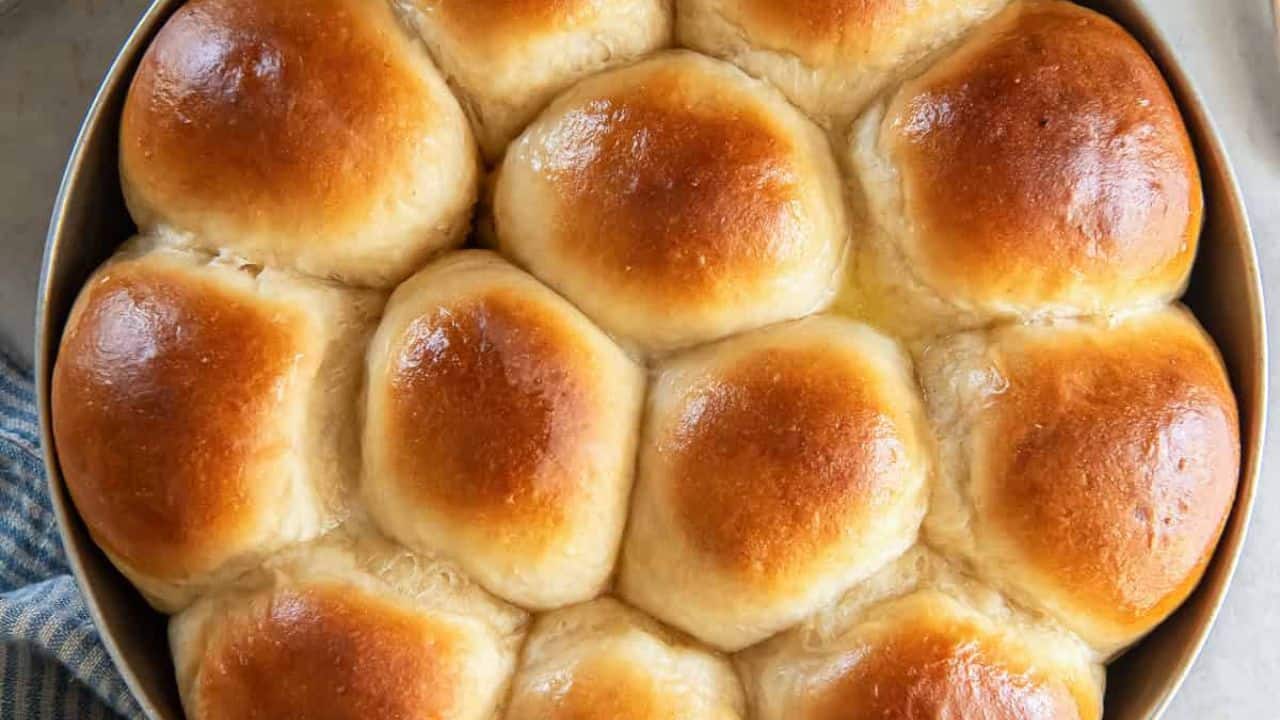 Dinner Rolls
