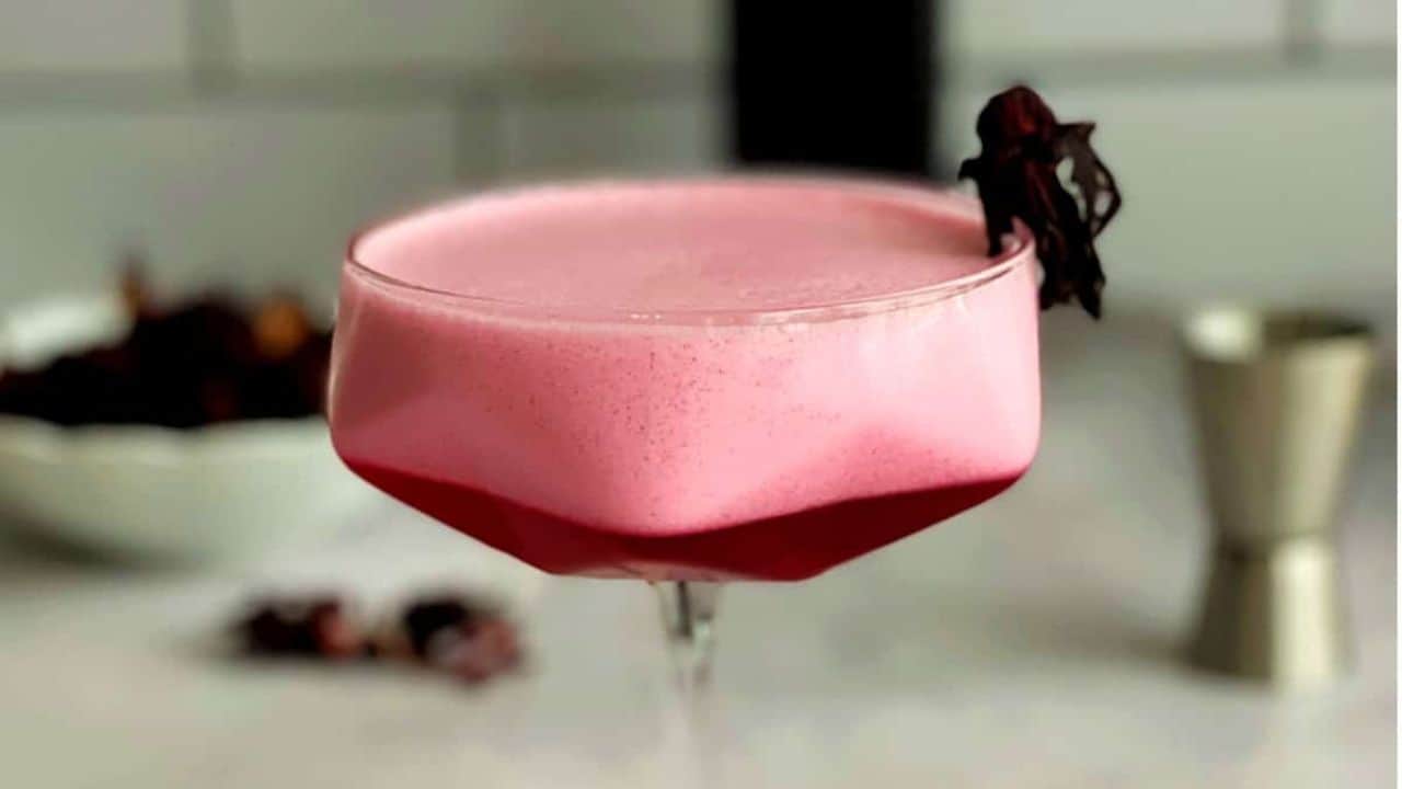 Hibiscus Pisco Sour